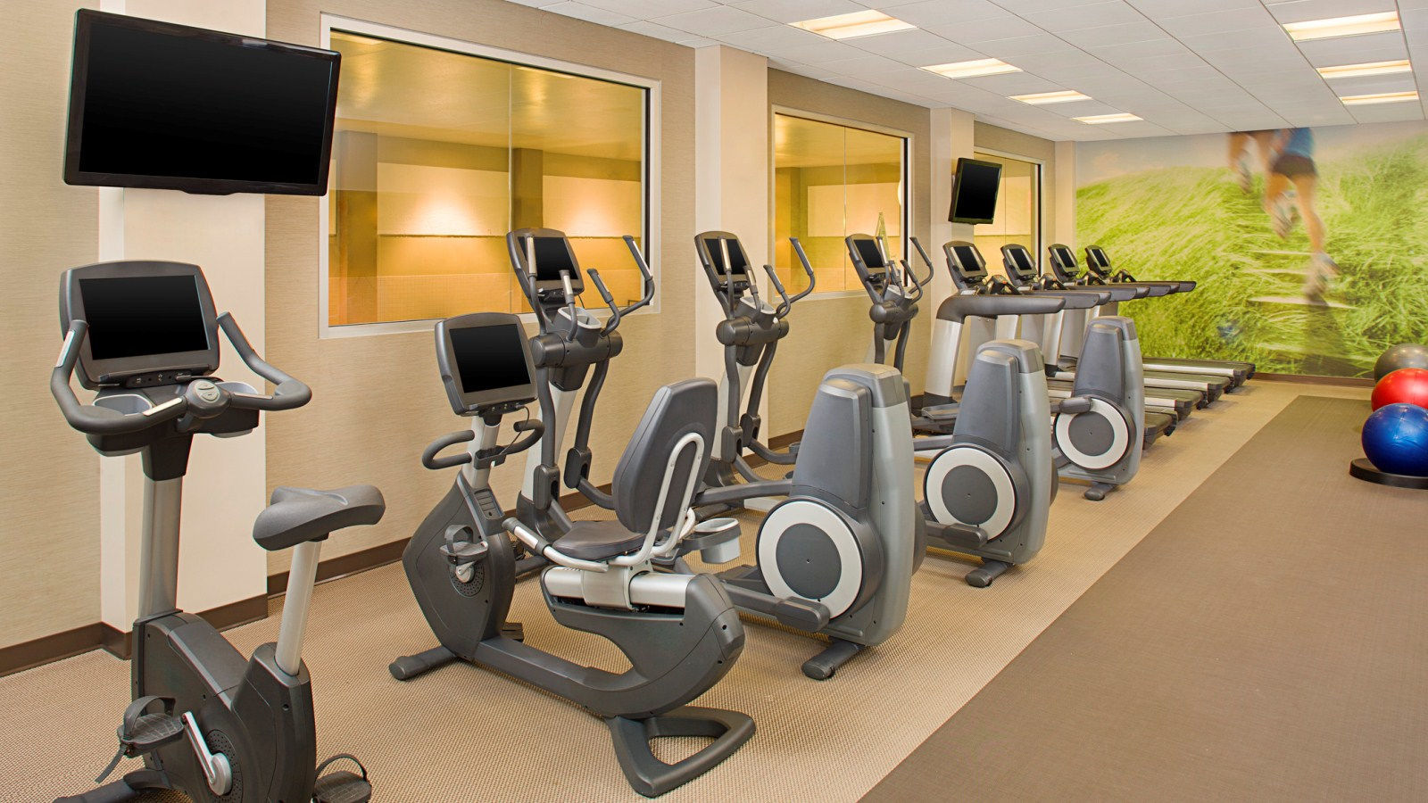 The Westin Chicago North Shore Wheeling Tiện nghi bức ảnh